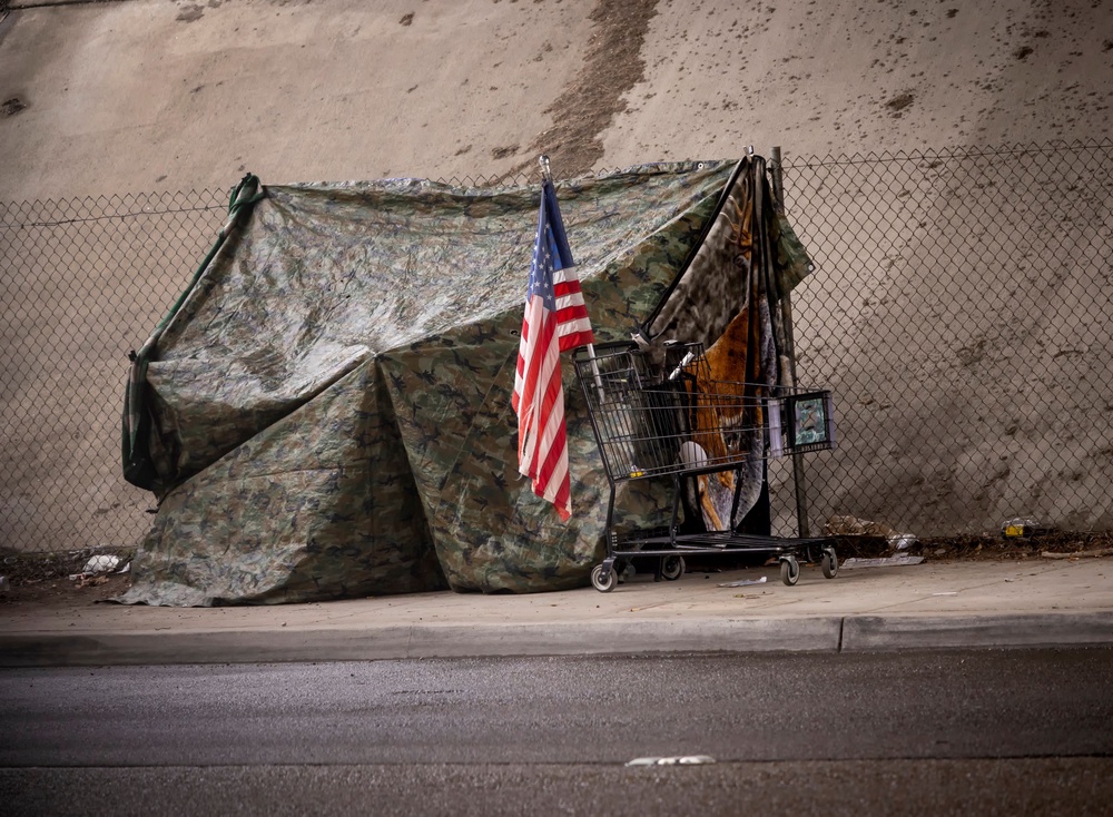 A New Push to Put Homeless Veterans Under Legal Guardianship